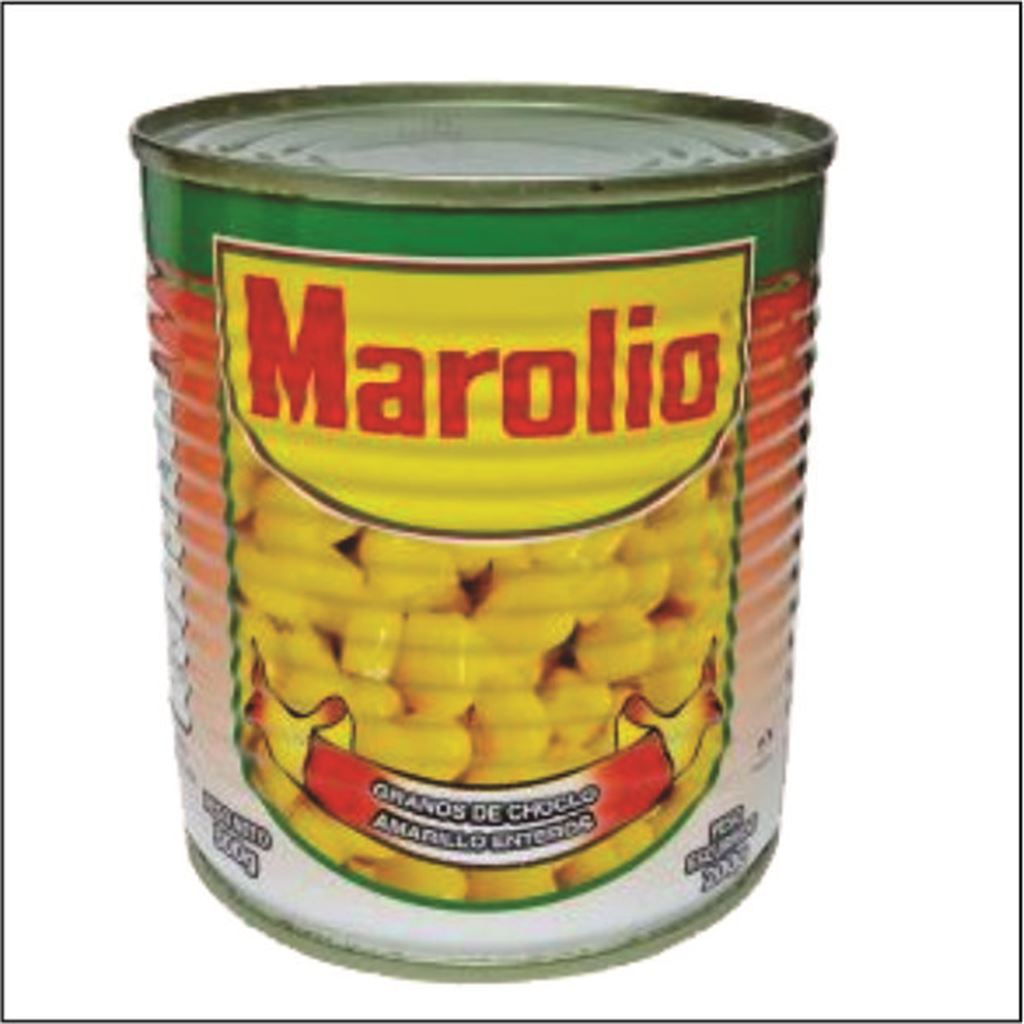 24505