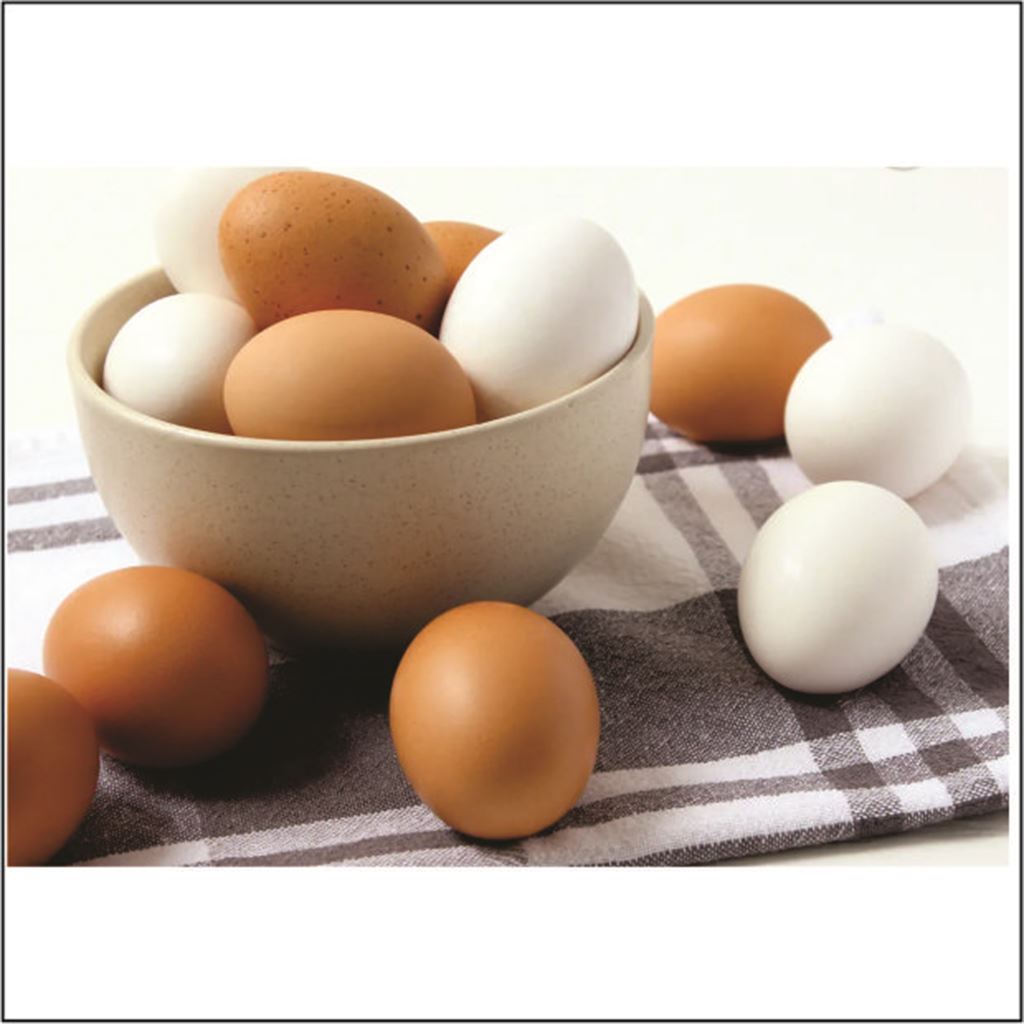 24337